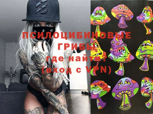 MDMA Бородино